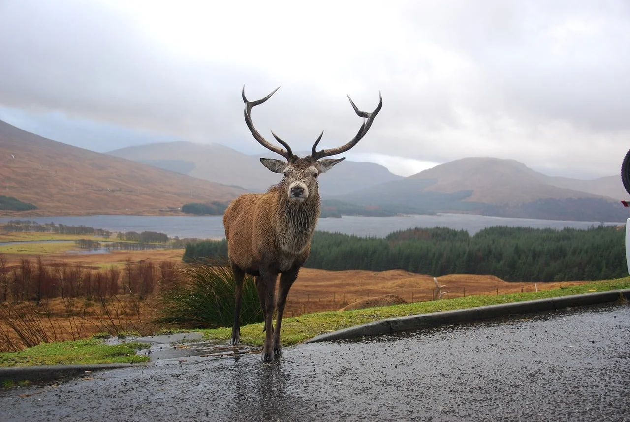 Cairngorms National Park