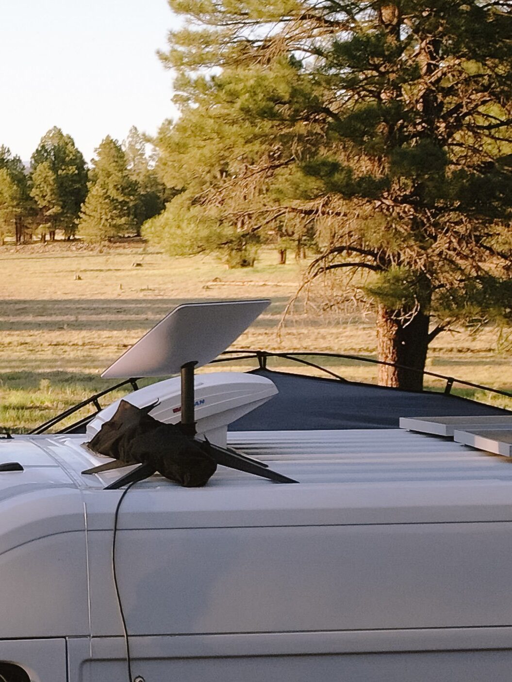 Starlink Tree RV Van Example edited